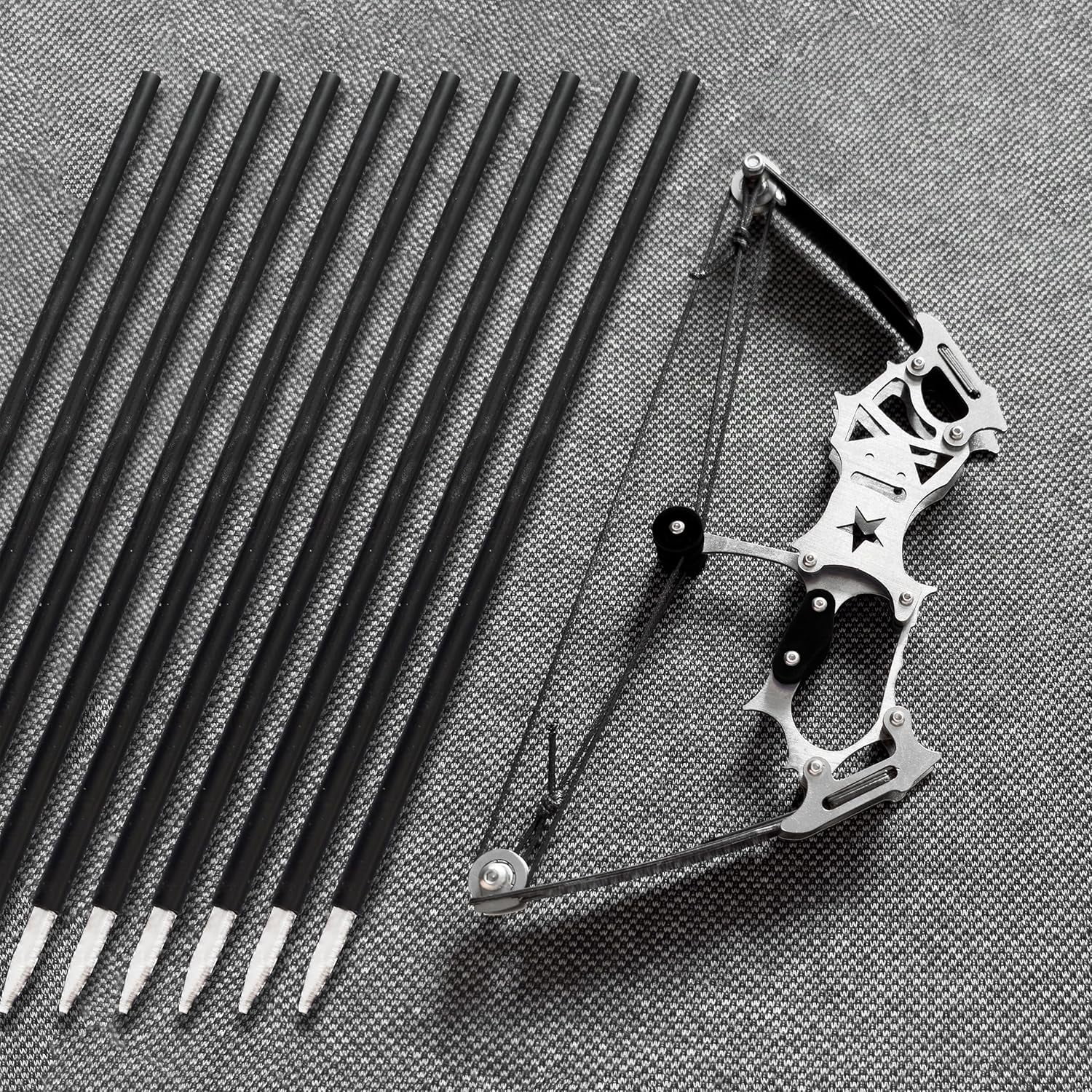 Archery Bow Set Left and Right Hand Compound Bow Hunting Bow Metal Material Catapult RH/LH for Practice Archery