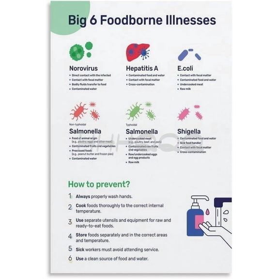 Big 6 Foodborne Illnesses Poster, Food Safety Poster  Wall Art Painting for Bedroom Living Room Decor