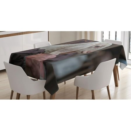 

Farm Animal Tablecloth Blurry Backdrop Photo with Sweet Baby Lamb Sitting with Old Farmer Man Rectangular Table Cover for Dining Room Kitchen 60 X 90 Coconut Multicolor by Ambesonne