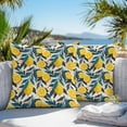 thumbnail image 2 of Outdoor Waterproof Pillow Covers Pack of 2, Summer Yellow Lemon Country Style Plant Decorative Throw Pillowcases Cushion Covers for Garden Patio Tent Sofa Couch, 18x18 inch, 2 of 8