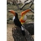 thumbnail image 3 of Varios Falsos Artificiales Emplumados Pájaro Jardín Decoración para hogar Taxidermia Pájaro 9 Soledad Pájaro artificial, 3 of 5