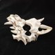 thumbnail image 2 of Cosplay Masquerade Half Face Yaksha Resin Wolf Skull Face Cover Scary Horror Costume Props Ornament, 2 of 4