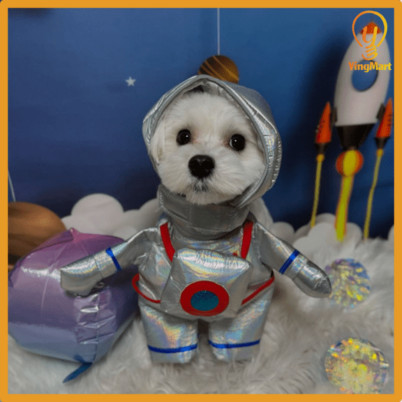 Pet Outfit Cats Dogs Astronaut Courier Standing Halloween YingMart Cosplay (Silver, S)