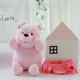 thumbnail image 4 of Winnie de Disney de peluche de 28/48cm, juguetes de peluche Pooh, almohada de dibujos animados de Winnie rosa, muñeco de peluche suave, muñeco de oso Pooh, regalo de Navidad para niñas, 4 of 5