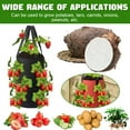 thumbnail image 3 of QJUHUNG Garden Plant Growing Bag 12 Holes Hanging Plants Vegetable Planter Pot for Strawberry Tomato Chili Pepper Home Red, 3 of 7