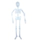 thumbnail image 1 of Pvc Aterrador Decoración Colgante De Halloween Resplandor En El Cuerpo De Esqueleto Oscuro Con Articulaciones Posibles Para Accesorios De Casa Embrujada En El Patio Delantero Scienceny HA041914-01, 1 of 6