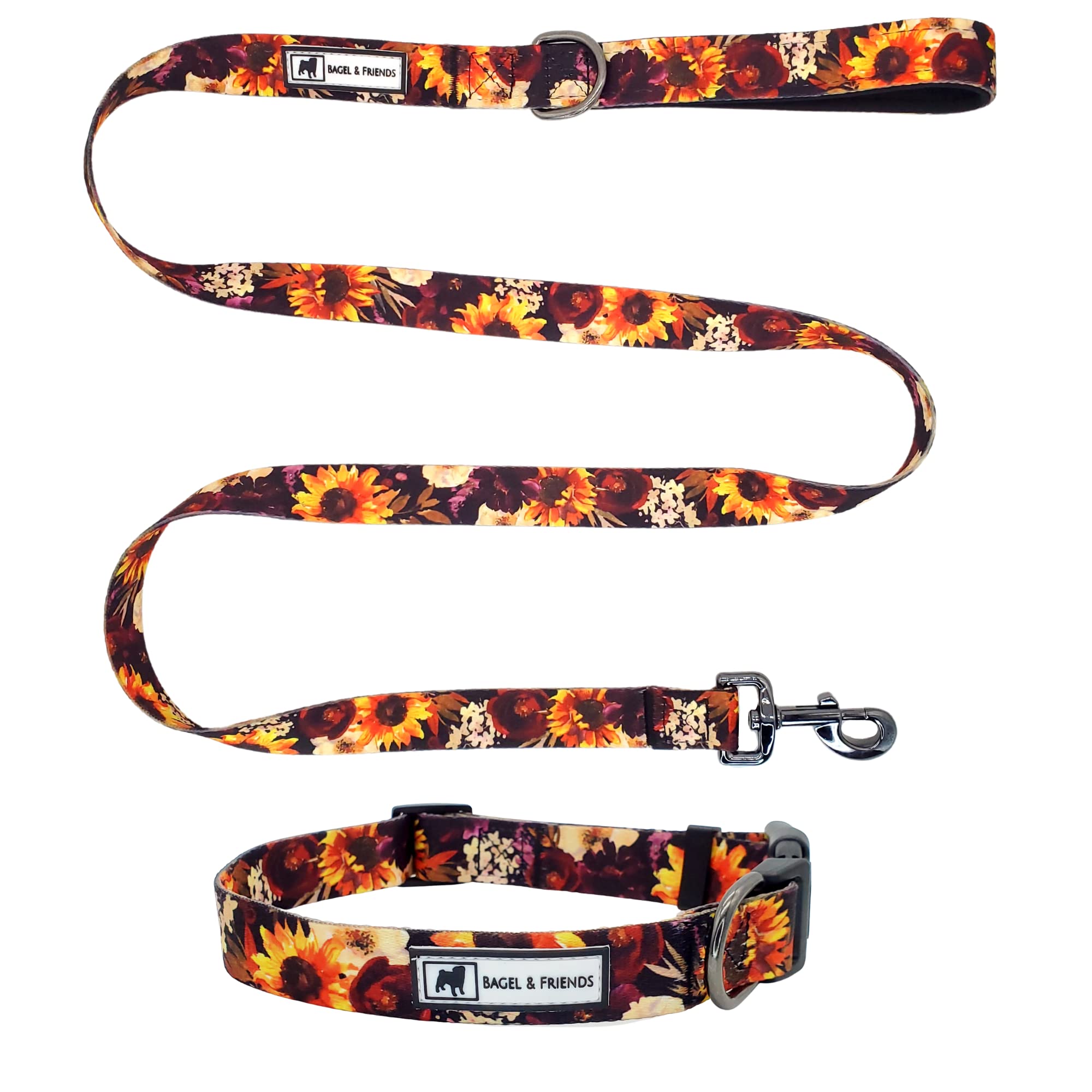 Bagel & Friends Matching Dog Collar & Leash Set XSmall, Small, Medium, Large for boy, Male