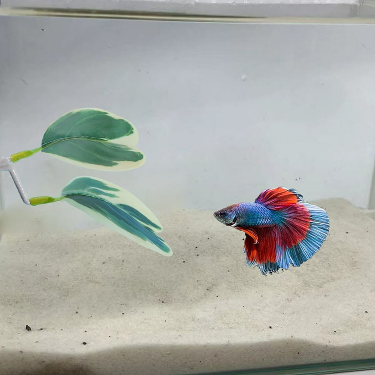 4 stuks Betta visblad hangmat Betta paaien bladeren met zuignap, de natuurlijke habitat, voor paaien rustend aquarium aquarium decoratie stijl, mooi, sterk en duurzaam (groen