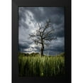 thumbnail image 2 of Anton, Rostovskiy 13x18 Black Modern Framed Museum Art Print Titled - Stormy Weather, 2 of 5