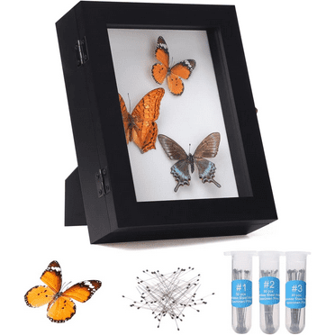 IHEIPYE Insect Display Case Wall Mount Bug Display Case Collection Box for Butterfly Specimen with Anti Fade 98% UV Protection Acrylic Top Eva Foam Pinning Board and 3 Sizes Pins Insect Shadow Box