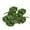 Dark Green, variant on lionlar 1:150 Scale Model Trees Diorama Supplies N Gauge, 20pcs Per Order | Light Green