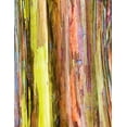 thumbnail image 2 of Hellmann, Stan 26x32 Gold Ornate Wood Framed with Double Matting Museum Art Print Titled - Eucalyptus Bark I, 2 of 4