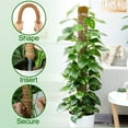 thumbnail image 5 of LANNEY Moss Pole for Plants Monstera, 50 Inch Bendable Moss Pole for Climbing Plants, 2 Pack 25 Inch Coir Totem Pole for Monstera Plant Support Indoor, 5 of 7