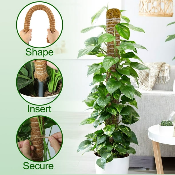 新品未使用　MOSS STICK 50SW Amazon.com : 3 Pack Moss Pole, 50 Inch Monstera Plant