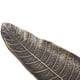 thumbnail image 2 of M Buder Soporte para Incienso en Forma de Hoja y Caracol Aleación de Zinc Decoración 25.6 cm / 10.1 in, 2 of 9