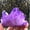 Purple, variant on K-KED Natural Quartz Titanium Aura Crystal Cluster VUG Energy Healing Specimens Stone-Colorful-About 15g