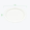 thumbnail image 5 of Reharvest Platos de Comedor 9" (23 Cm) [Paquete de 50], Resistentes, 100 % Biodegradables, Compostables en Casa, sin Plástico, sin BPA, Hechos de Fibras de Caña de Azúcar de Bagazo Ecológicas, 5 of 5