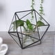 thumbnail image 2 of Terrario Geométrico De Decoración De Paisaje, Contenedor De Maceta De Vidrio, Para Musgo Suculento EOTVIA Plant Container, 2 of 8
