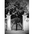 thumbnail image 2 of Susan Vizvary Photography 14x18 Gold Ornate Wood Framed with Double Matting Museum Art Print Titled - Wooden Gate Black and white, 2 of 4