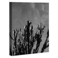 thumbnail image 1 of Society6 Monochrome Cactus Sky by Bethany Young Photography Framed Canvas, 1 of 1