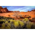 thumbnail image 2 of Jaynes Gallery 18x13 White Modern Wood Framed Museum Art Print Titled - Utah-Monument Valley Landscape and dead tree, 2 of 4