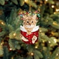 thumbnail image 4 of Christmas Decorations for Cats - Acrylic Christmas Stockings for Tree Hanging - Festive Crafts and Decorations for Holiday Cheer, 4 of 4
