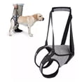 thumbnail image 1 of Arnés De Elevación Para Perro, Arnés Para Patas Traseras, 1 of 7