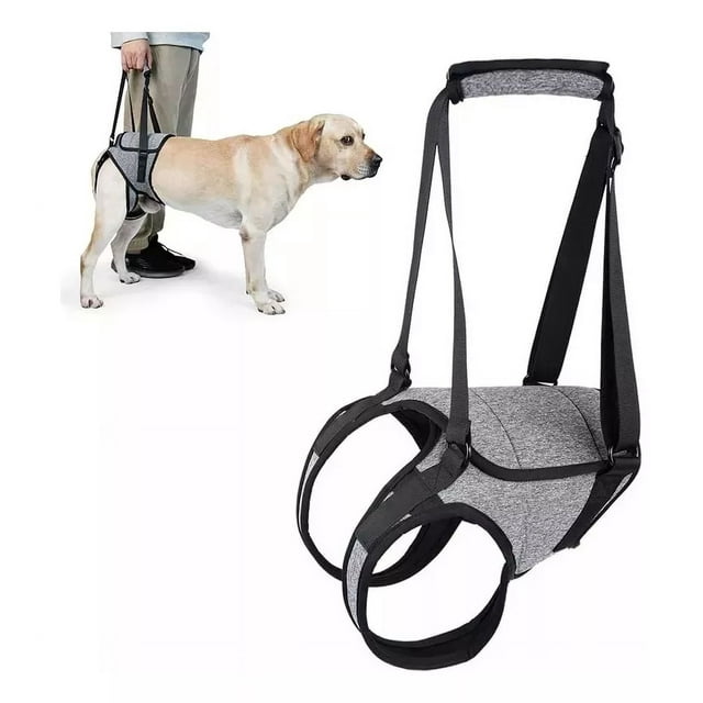 Arnés De Elevación Para Perro, Arnés Para Patas Traseras
