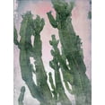 thumbnail image 2 of Orlov, Irena 25x32 Gold Ornate Wood Framed with Double Matting Museum Art Print Titled - Desert Cactus II, 2 of 4