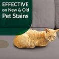 Simple Green Cat Stain & Odor Remover Enzyme Cleaner for Cat Urine