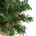 thumbnail image 3 of Northlight Potted Red Berries and Pine Cones Medium Artificial Christmas Tree – 16" - Unlit, 3 of 4