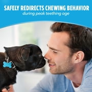 Purina DentaLife Chicken Flavored Puppy Teething Dental Chews