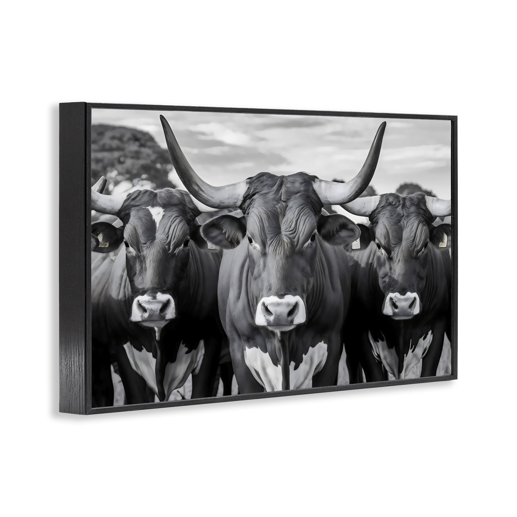 Stupell Industries Three Longhorns in a Row Black Framed Giclee Art, design by Creative Studio