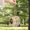 B, variant on Natural Hanging Bird Sturdy Shape Outside Patio Garden Feeder A One Size