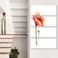 thumbnail image 1 of Red Poppy Flower with Large Petals, 1 of 1