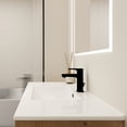 thumbnail image 2 of DSstyles 24Inch/30Inch/36Inch Bathroom Vanity with Sink Freestanding/Wall-Mounted Bathroom Vanity Ceramic Single Basin Set with Doors Adjustable Shelves For Bathroom, 2 of 8