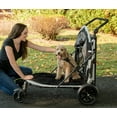 thumbnail image 5 of Pet Gear NO-Zip Stroller, Push Button Zipperless Dual Entry, for Single or Multiple Dogs/Cats, Pet Can Easily Walk in/Out, No Need to Lift Pet, 5 of 7