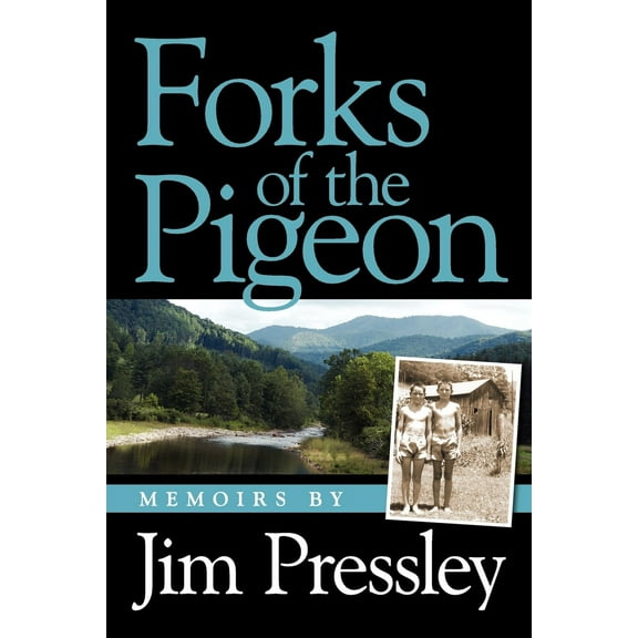 Forks of the Pigeon (Paperback)