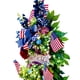 thumbnail image 3 of Txlixc Una corona de flores en la puerta del patriotismo Txlixc  Día de la independencia, 3 of 8