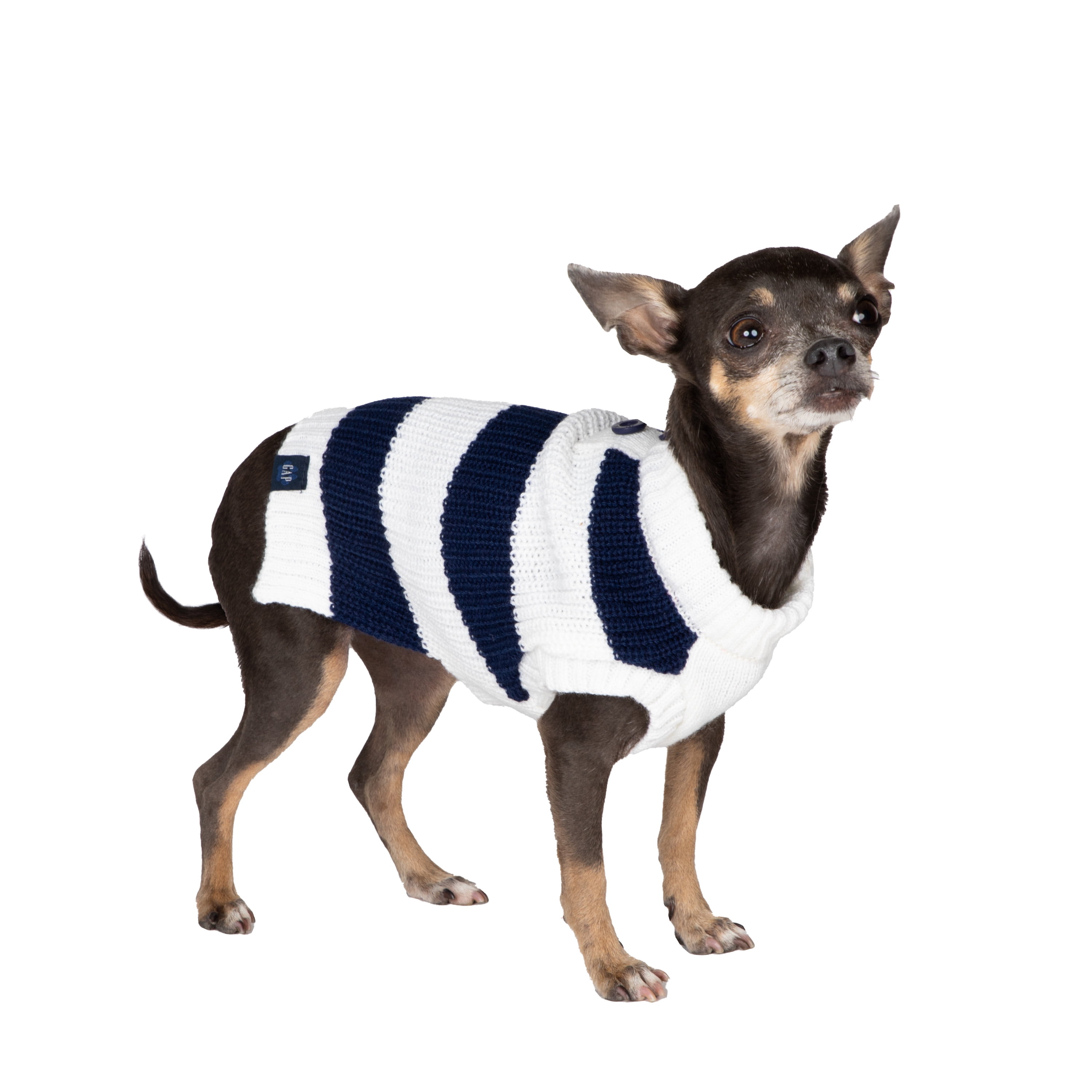 Gap Pet, Dog Clothes, Blue Striped Henley Pet Sweater