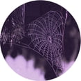 thumbnail image 1 of Ahgly Company Machine Washable Indoor Round Transitional Rich Lilac Purple Area Rugs, 3' Round, 1 of 7