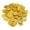 gold, variant on Rongfmy 100 Pieces Novelty Decorations Pirate Party Cosplay Gold Doubloons