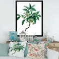 thumbnail image 3 of Designart 'Ancient Green Leaves Plants IV' Traditional Framed Art Print, 3 of 4