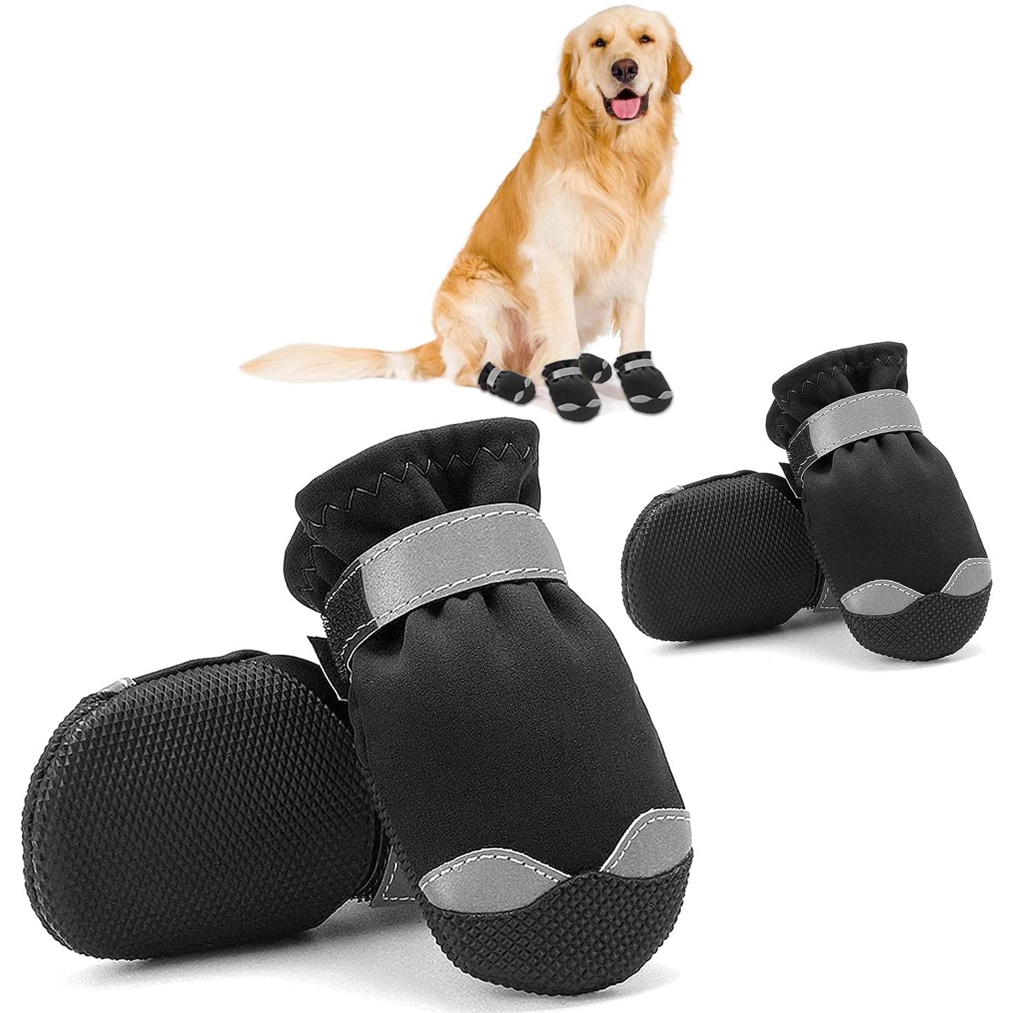 Should You Put Boots On A Dog