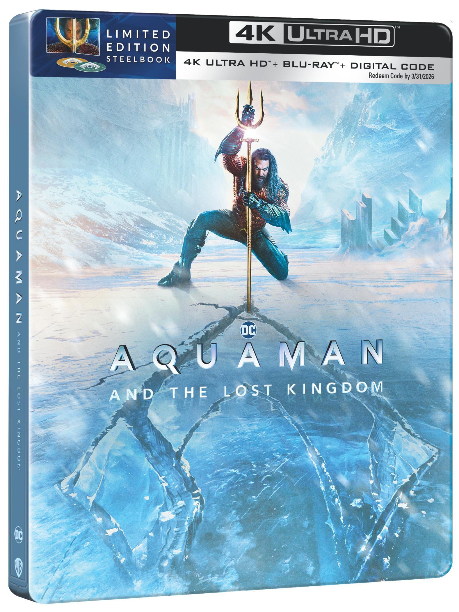 Aquaman and the Lost Kingdom (Walmart Exclusive) (Steelbook 4K Ultra HD +  Blu-ray + Digital) 