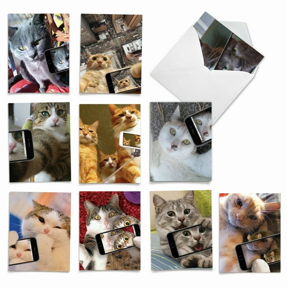 10 All Occasion Blank Note Cards Assorted (4 x 5.12 Inch) - Cats Selfie M4953OCB-B1x10