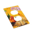 thumbnail image 3 of Kll The Chicken Family Rooster Hen And Chicks Wall Plate,Gloss Finish,Standard Size 1 - 5" X 3", Polycarbonate Thermoplastic,Electric Receptacle Plug Covers, 3 of 8
