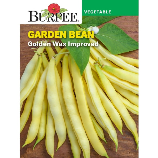 Burpee Golden Wax Improved Garden Bean Vegetable Seed, 1Pack Walmart