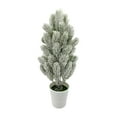thumbnail image 2 of Artificial Christmas Tree Decorations - 50" Green Bonsai Plant with Snowflakes for Home & Holiday Decor, 2 of 9