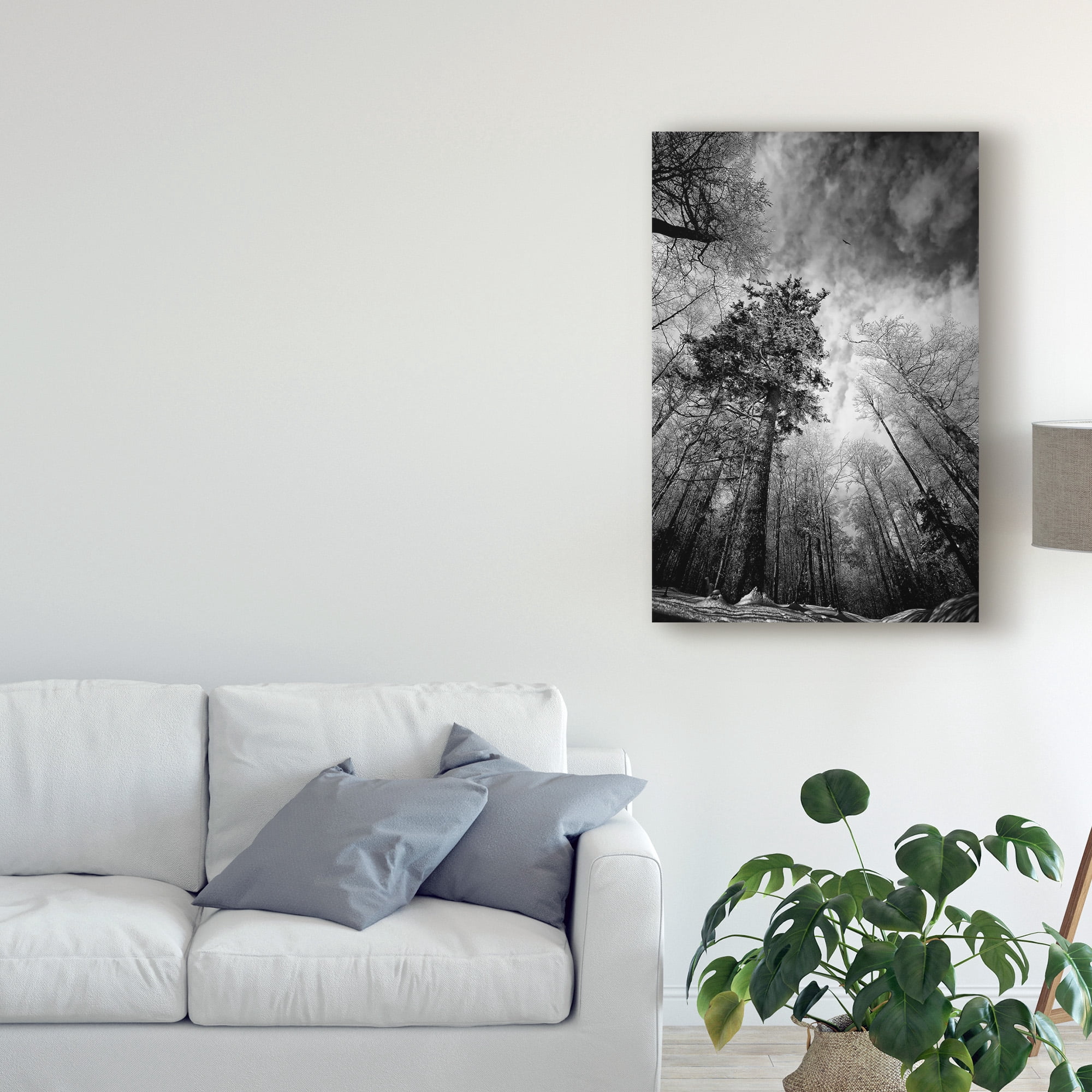 Trademark Fine Art 'Cold Vision' Canvas Art by Philippe Sainte-Laudy